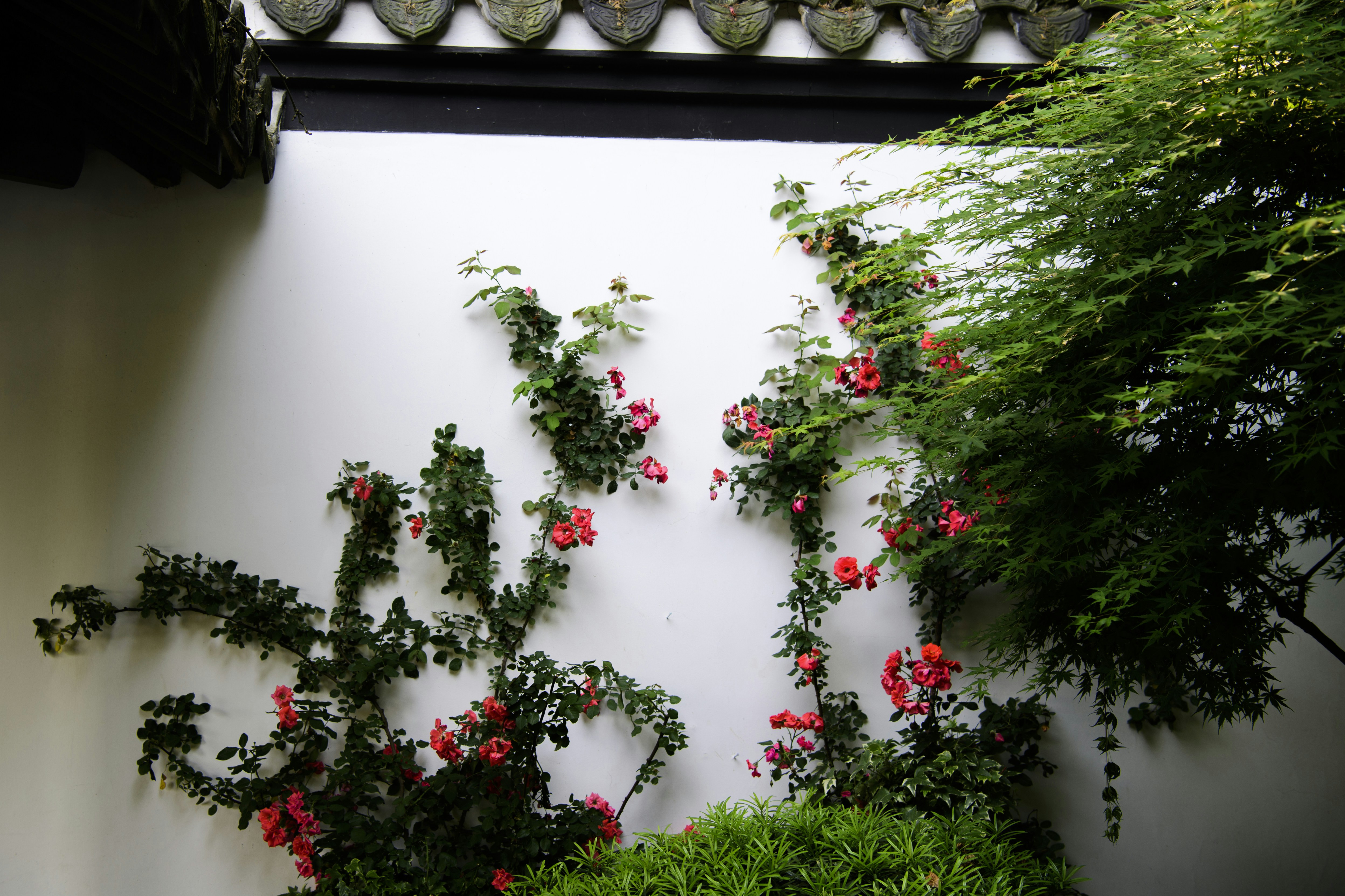 Photo by fan_world2020