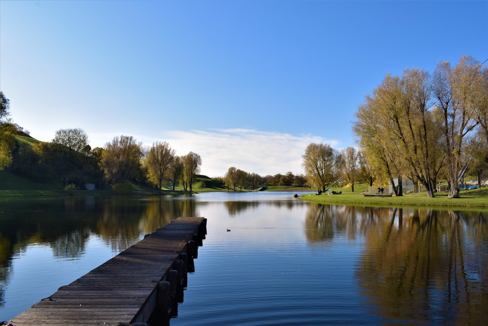 brown wooden dock on lake during daytime