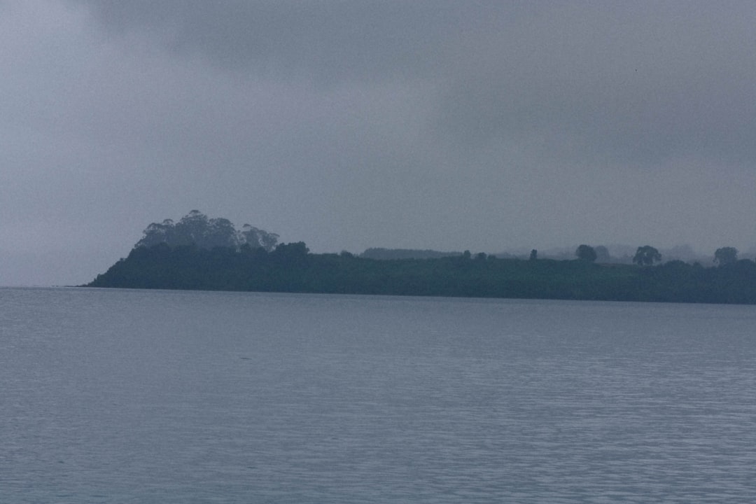 body of water near green trees under gray sky