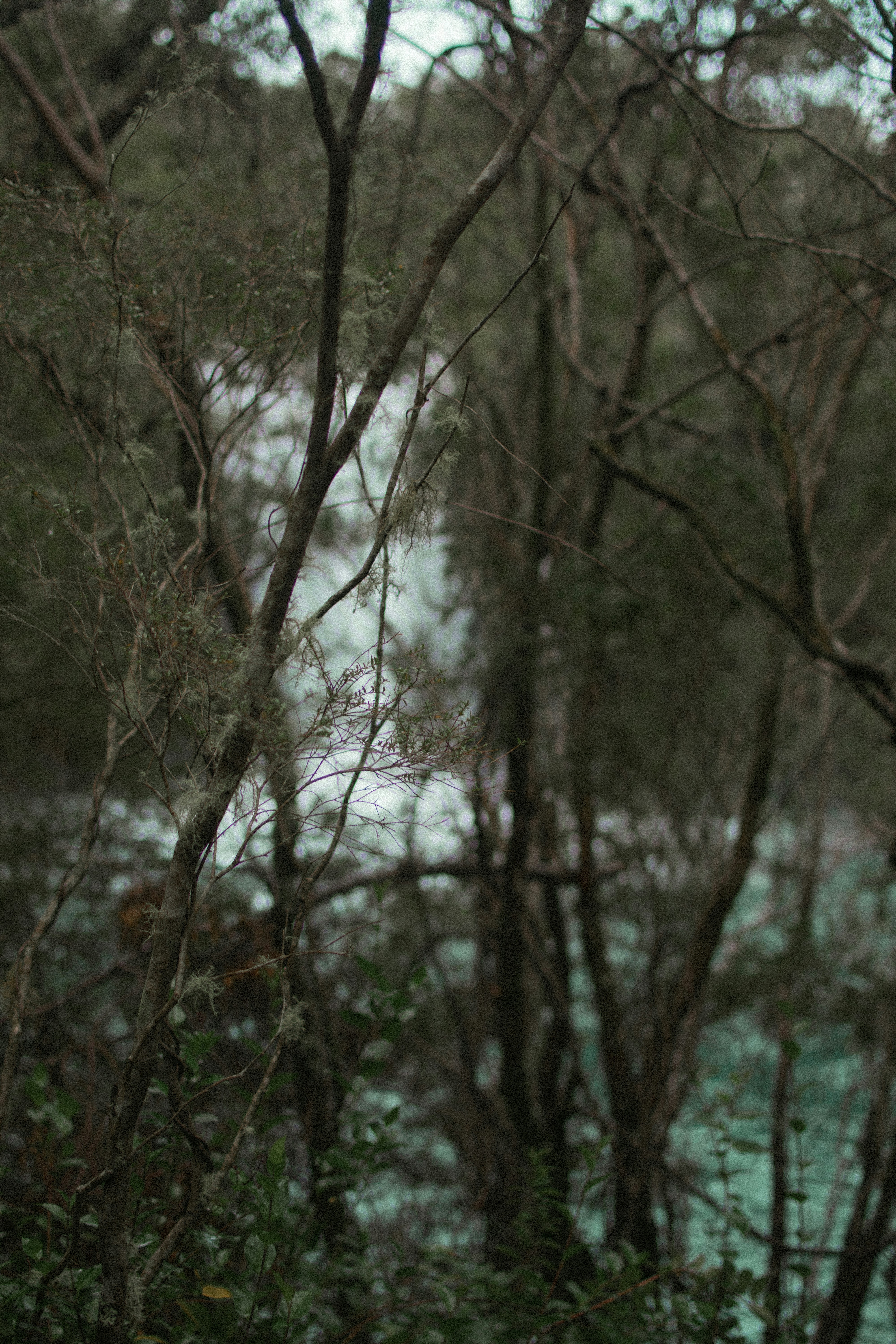 Photo by alanigna