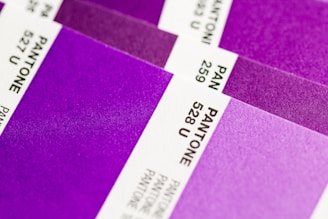 Close-up view of several Pantone color swatches, primarily in shades of purple and violet. The swatches are arranged diagonally, with some numbers and codes visible such as 528 U and 527 U.