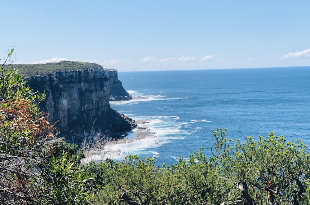 green trees on cliff by the sea during daytime