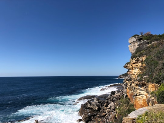 Manly Beach things to do in Mona Vale