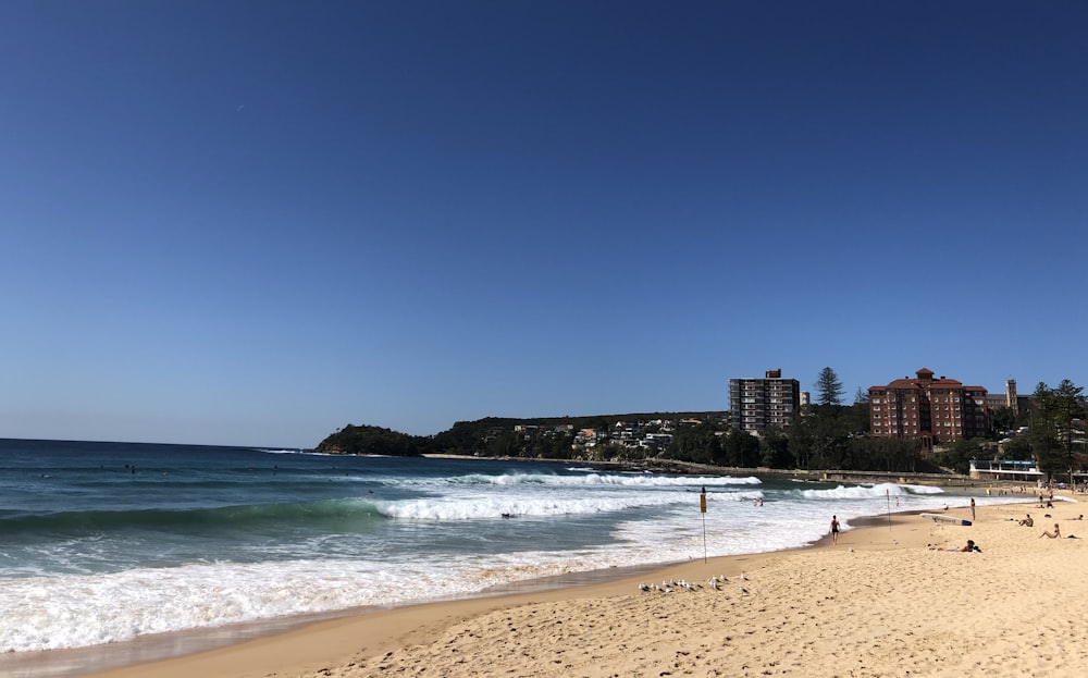 people on beach during daytime