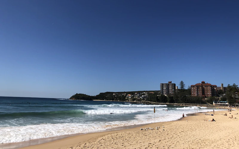 People enjoying Manly Beach on a sunny day