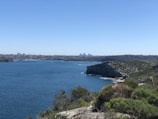 A panoramic view of the Mediterranean coastline near Algiers with clear blue waters.