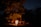 A cozy family gathering around a campfire under the stars.