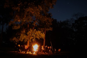 A group of people sit around a bright, warm campfire under the night sky, surrounded by tall trees. The light from the fire illuminates their faces, creating a cozy and intimate atmosphere amid the dark shadows of the trees and the starry sky.