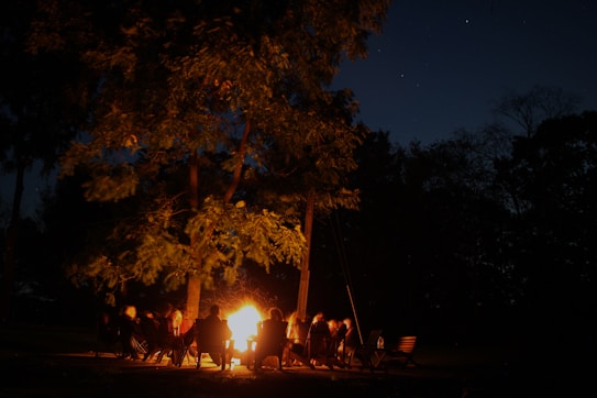 A group of people sit around a bright, warm campfire under the night sky, surrounded by tall trees. The light from the fire illuminates their faces, creating a cozy and intimate atmosphere amid the dark shadows of the trees and the starry sky.