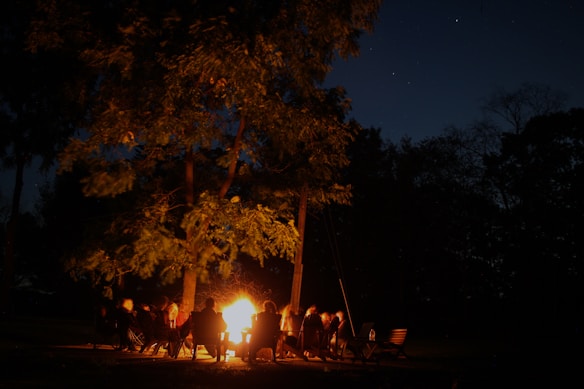 A group of people sit around a bright, warm campfire under the night sky, surrounded by tall trees. The light from the fire illuminates their faces, creating a cozy and intimate atmosphere amid the dark shadows of the trees and the starry sky.