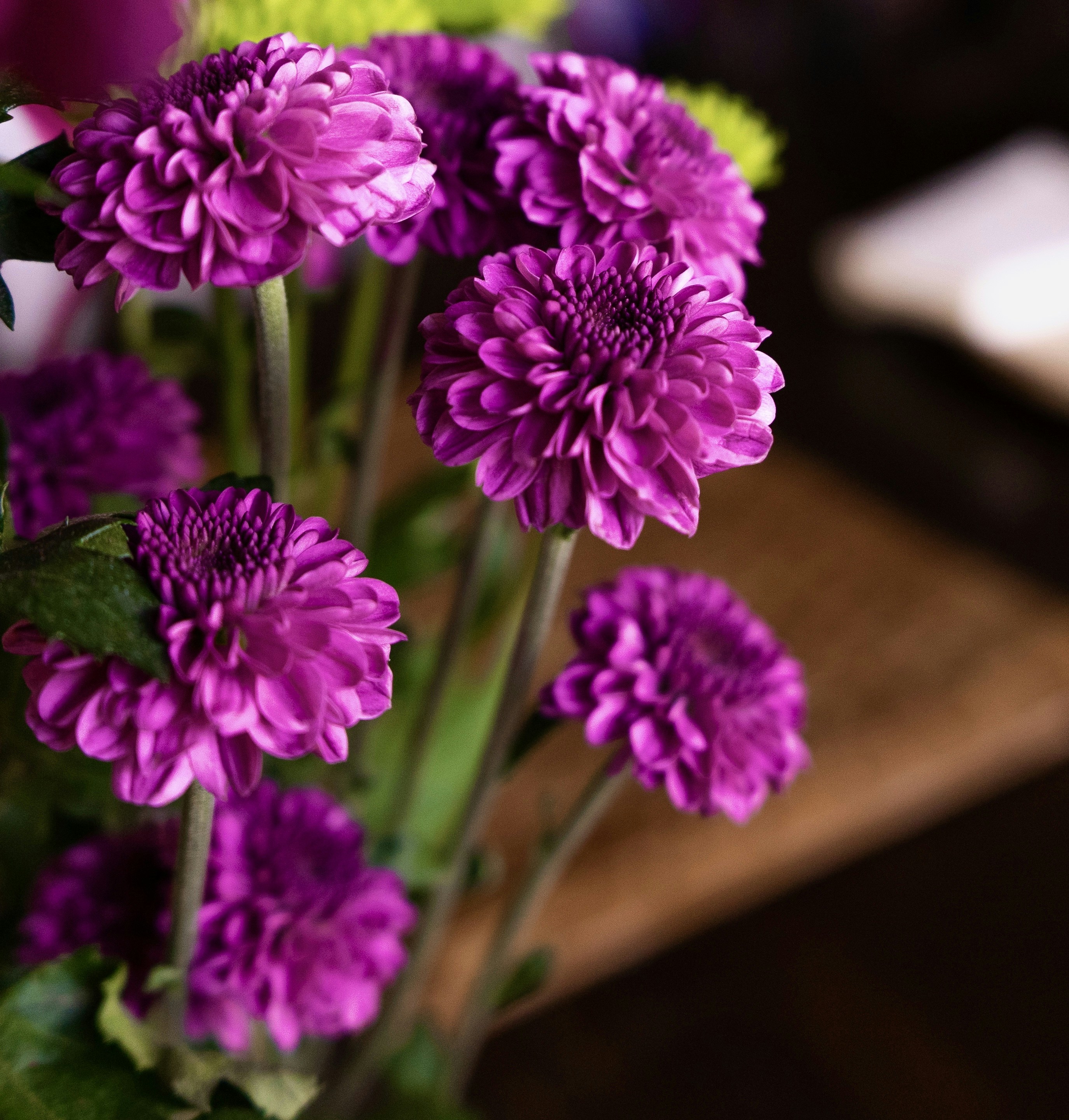 Photo by montero_moments