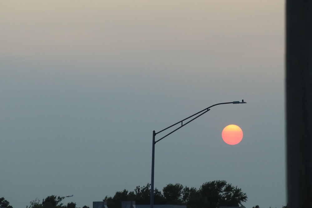 silhouette of trees during sunset