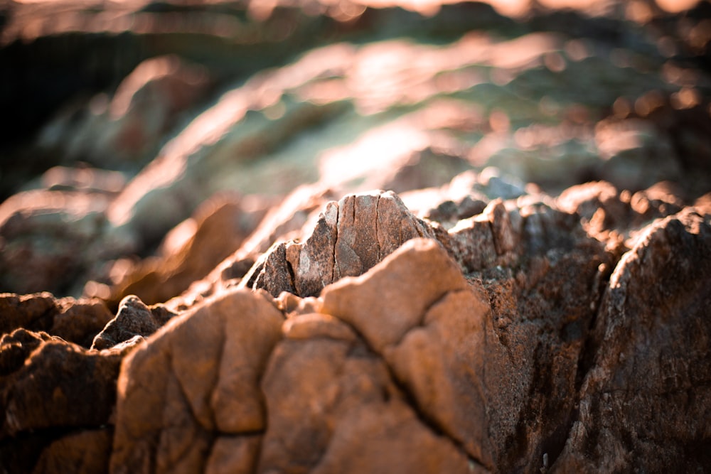 brown rock in close up photography