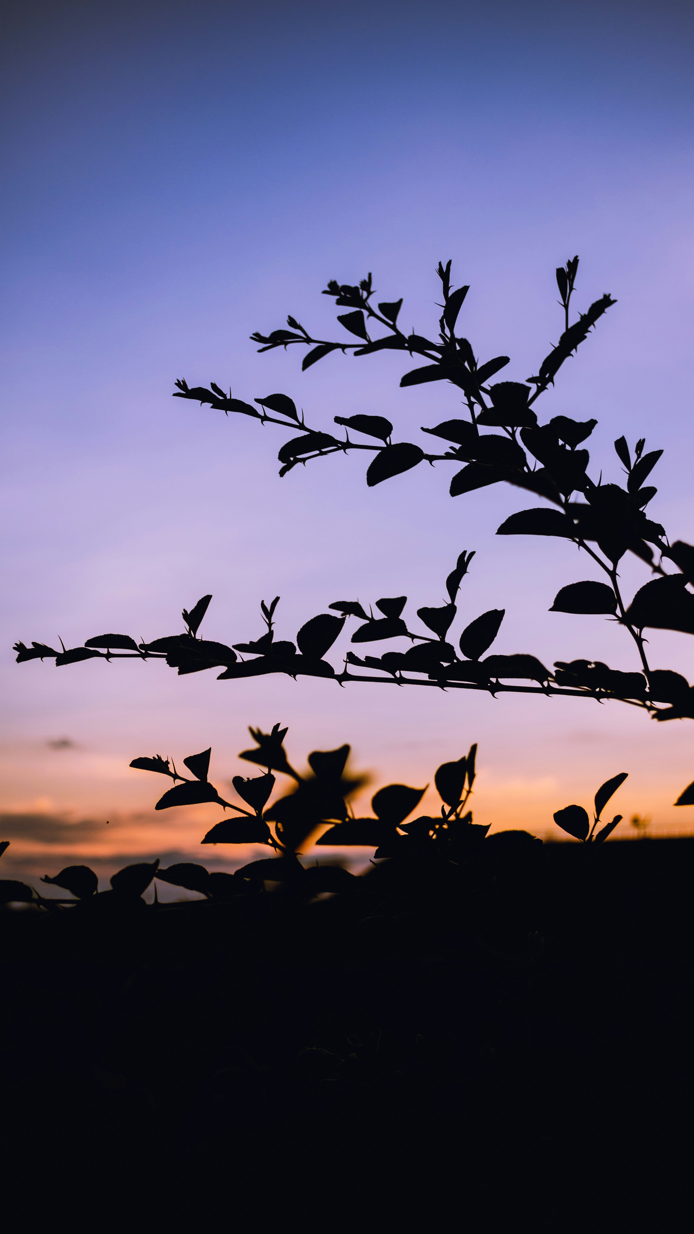 Photo by lincon_street