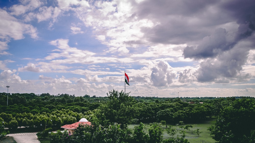 green trees under white clouds during daytime