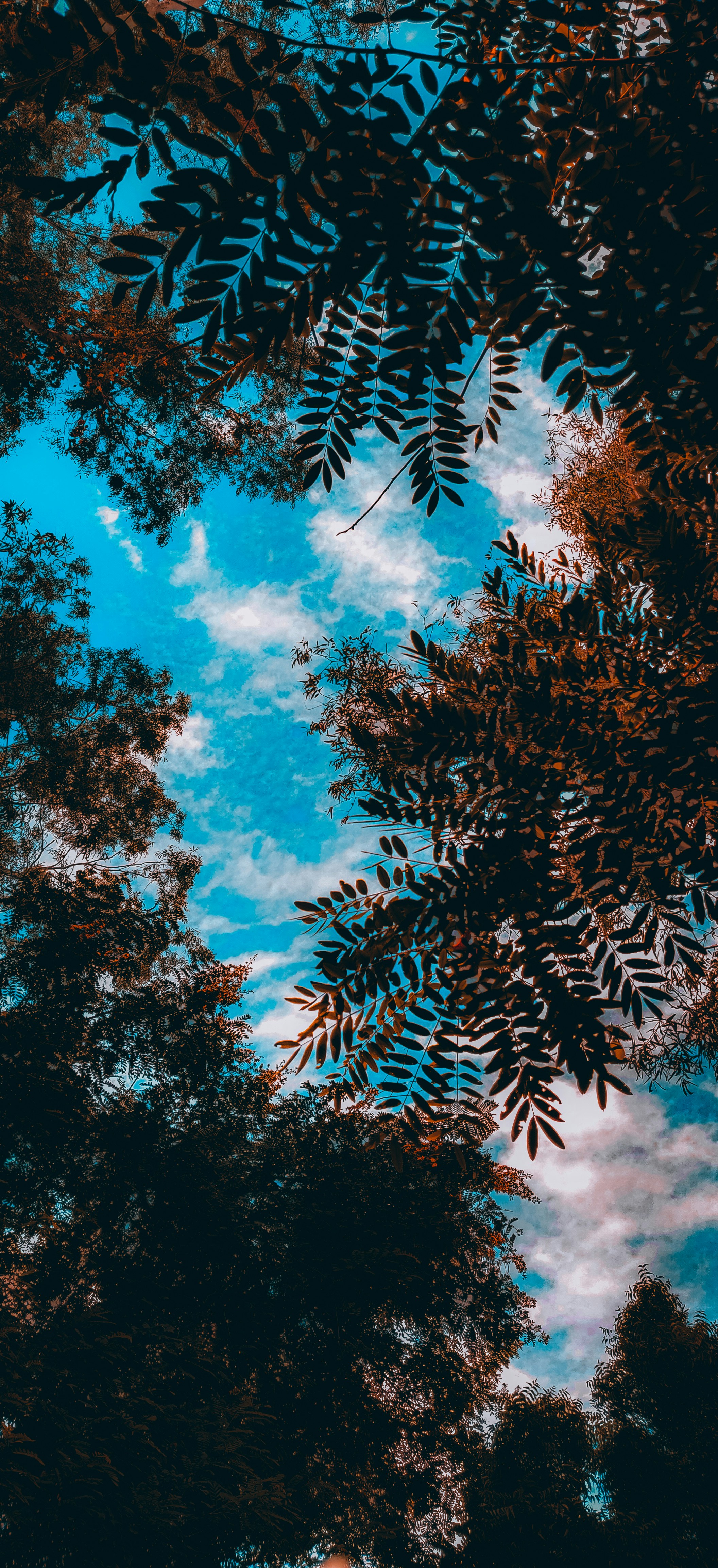 Photo by lincon_street