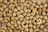 A collection of cashew nuts scattered across a light surface. The nuts vary slightly in shape and color, ranging from light beige to darker tan. Some nuts have a smooth surface, while others appear slightly rugged.