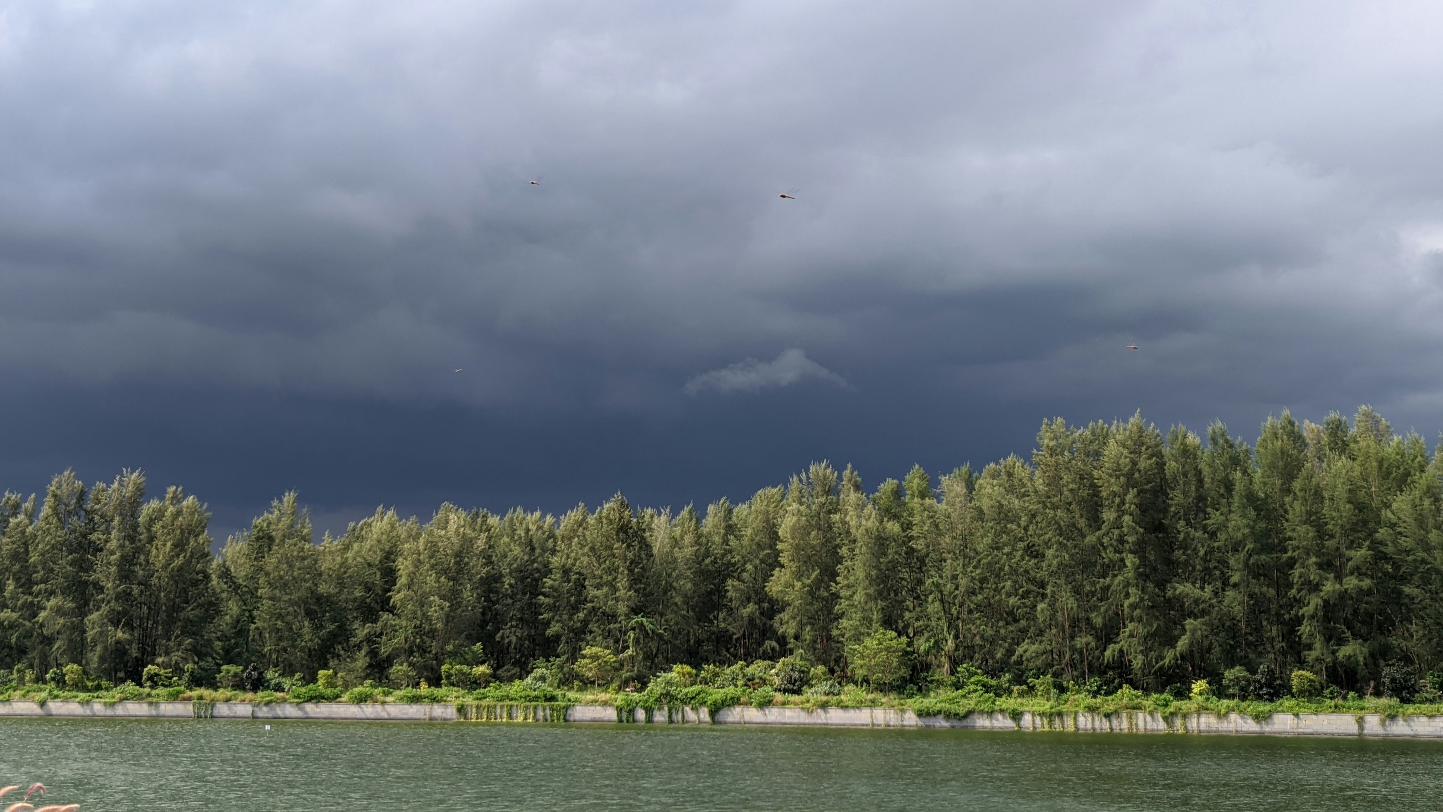 Photo by hapticzaptic