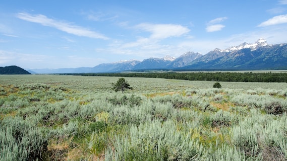 green grass field near mountain under blue sky during daytime
