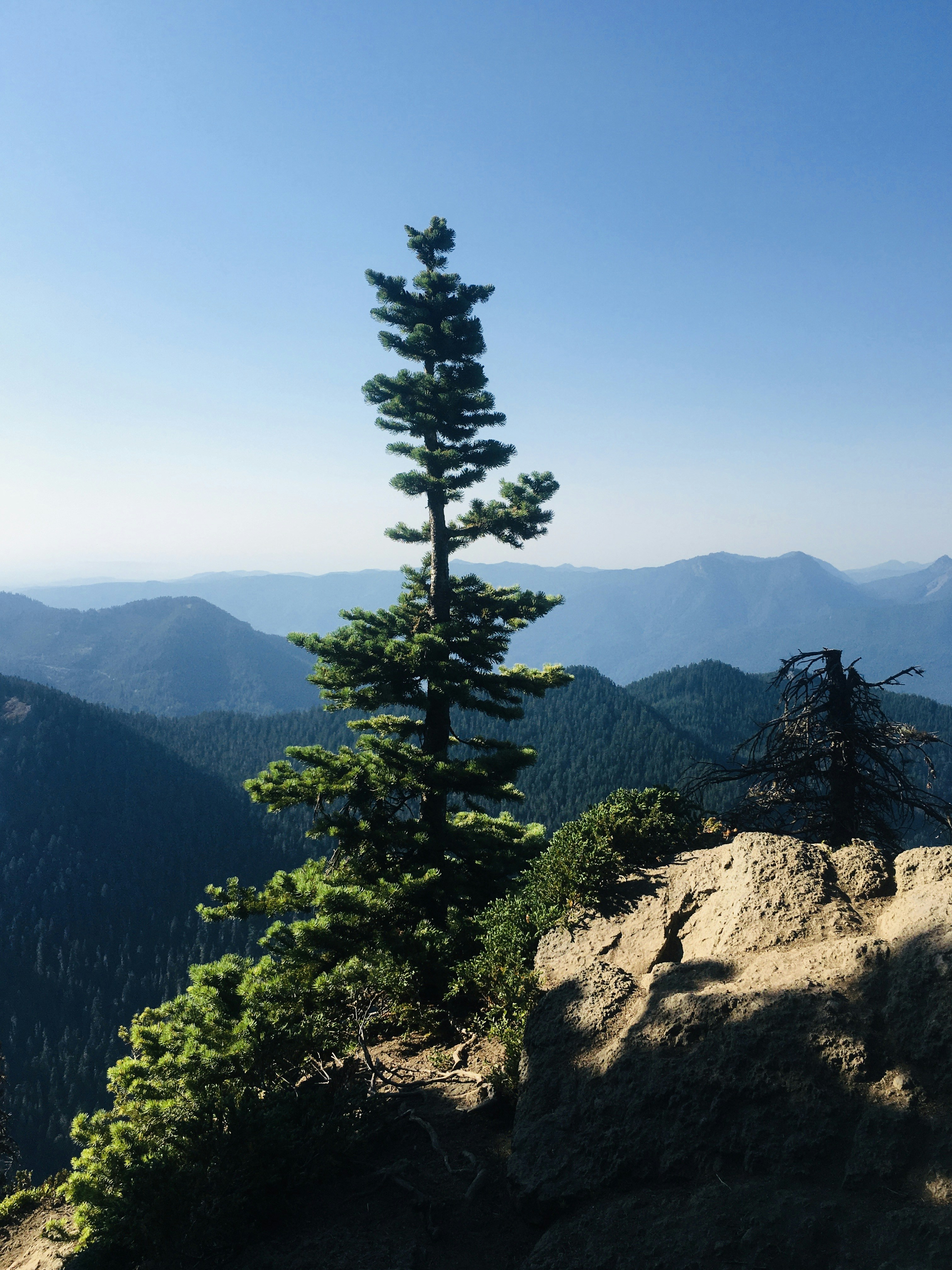 Photo by rwandan_prince