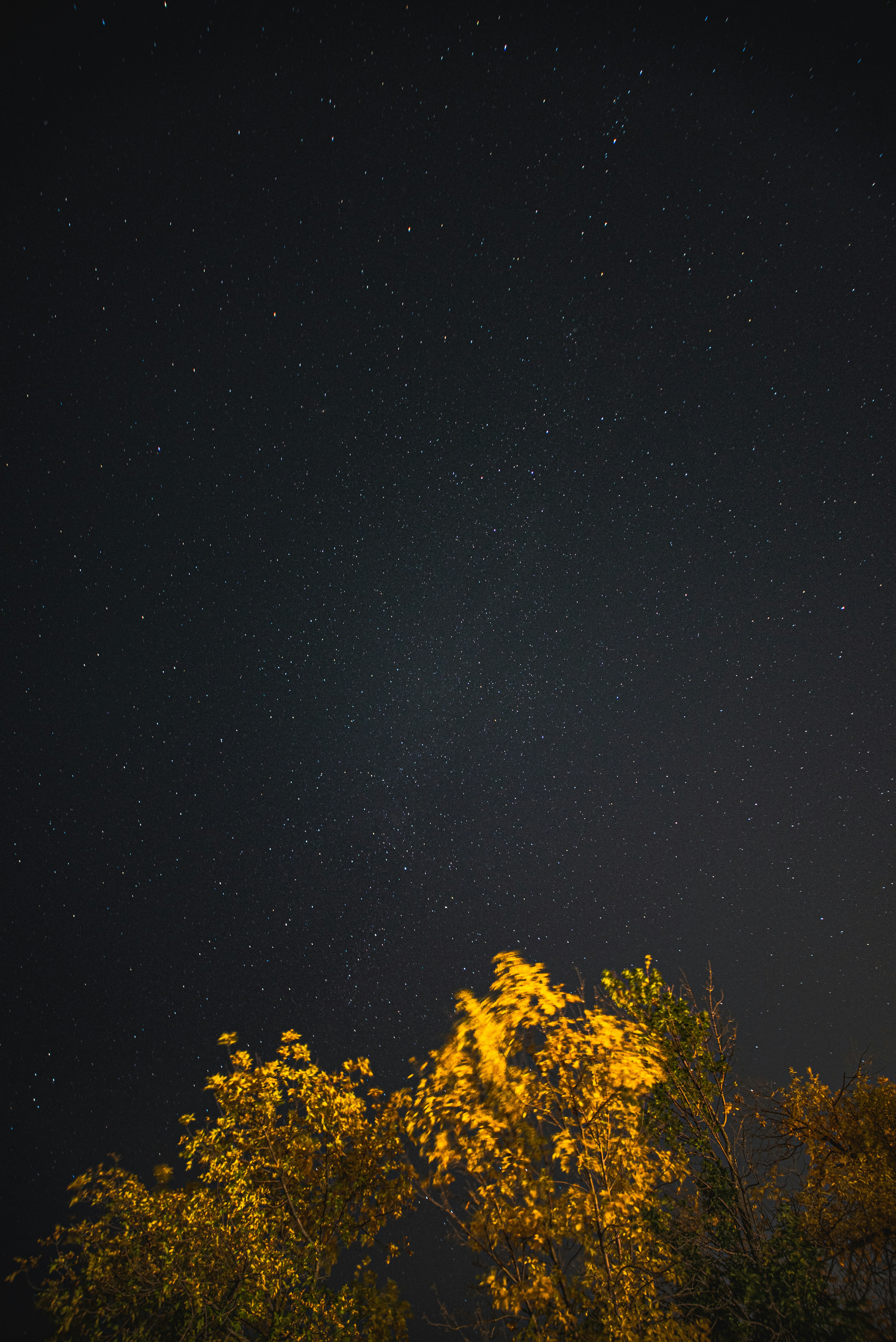 Photo by ryunosuke_kikuno