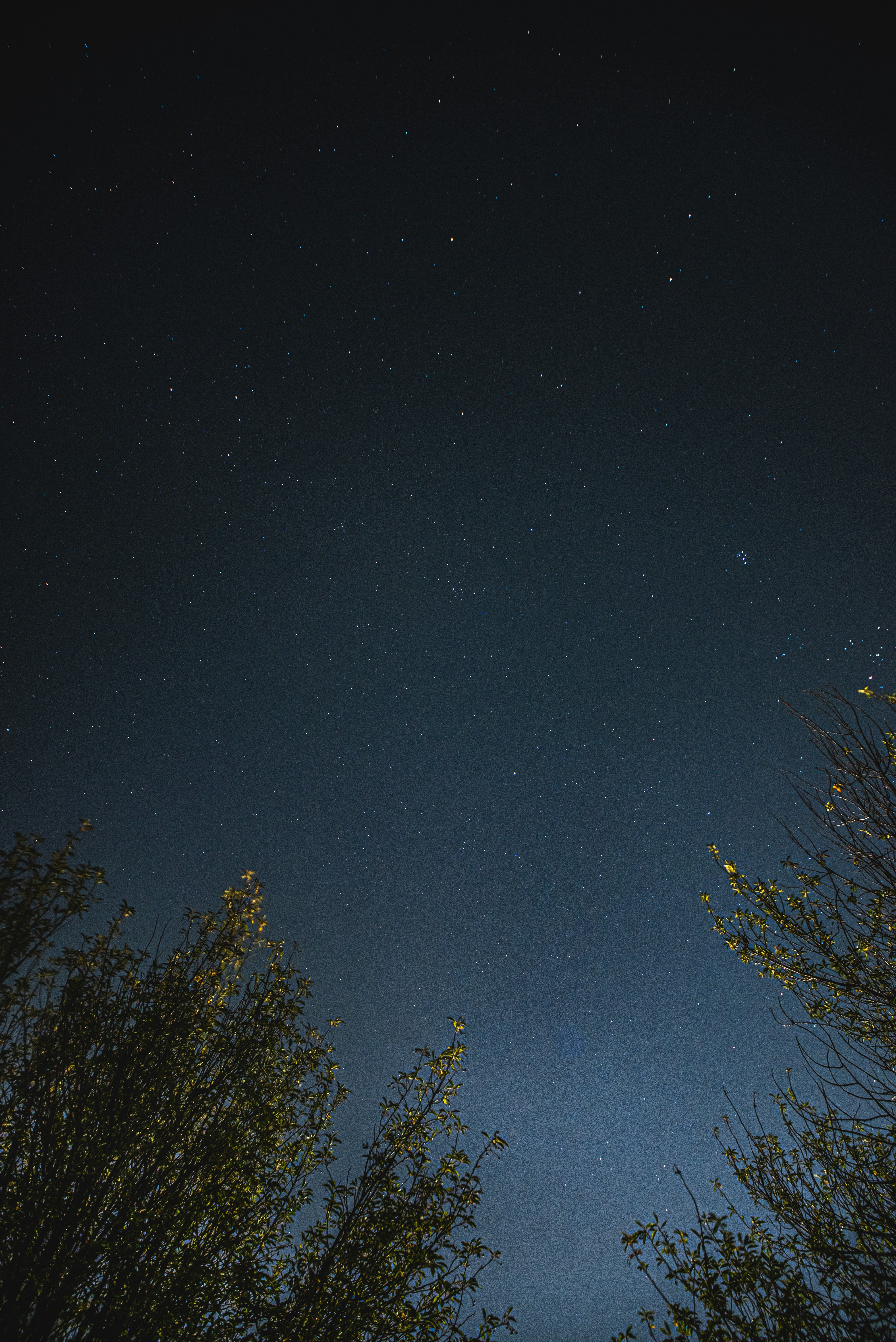 Photo by ryunosuke_kikuno