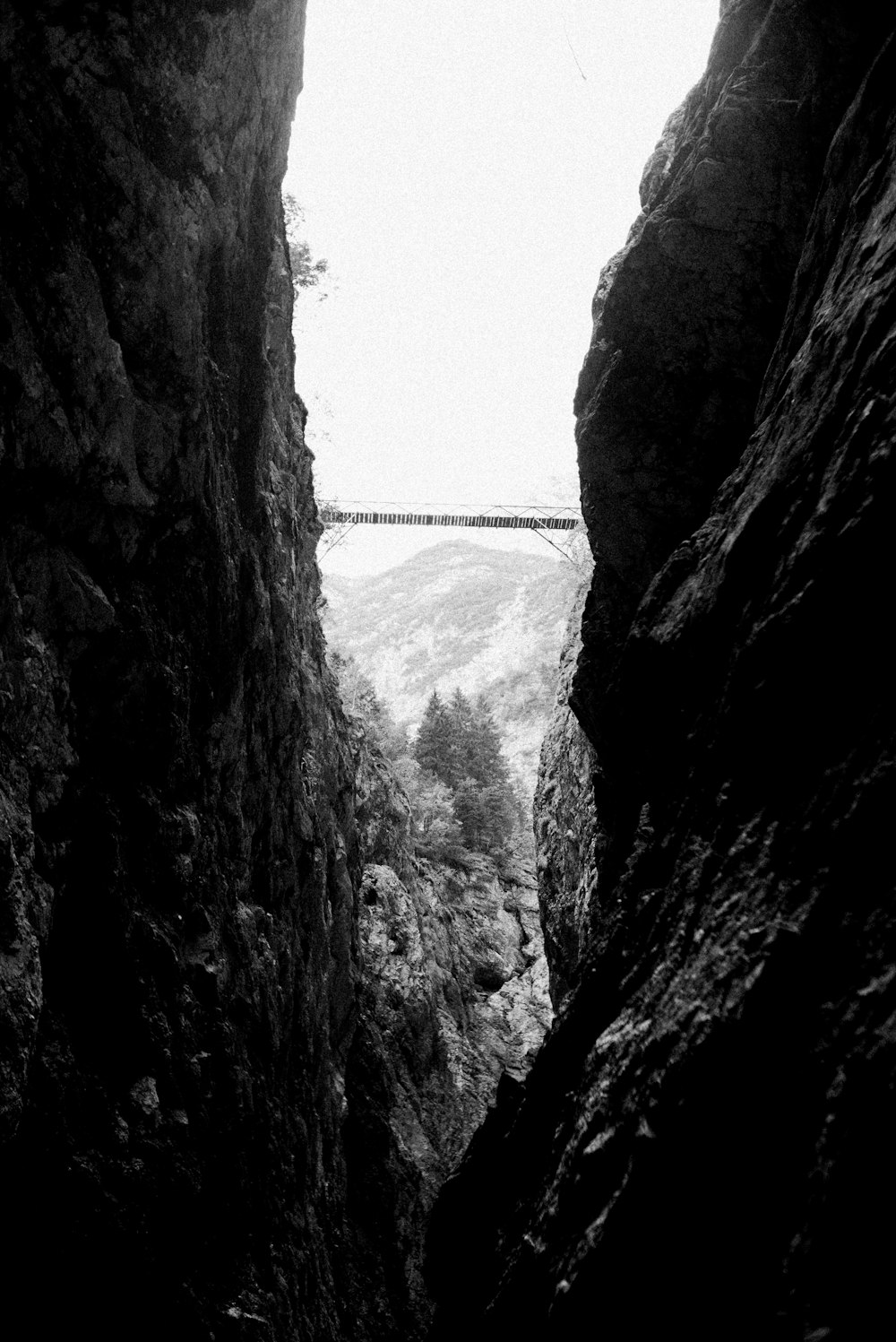 Foto en escala de grises de un puente entre formaciones rocosas