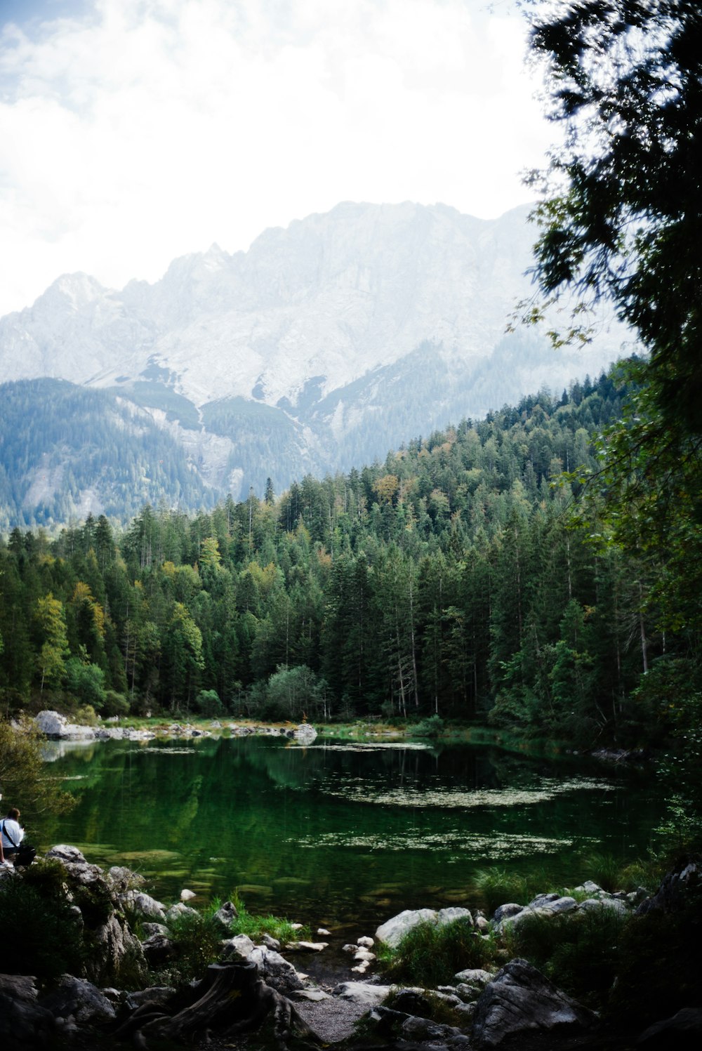 green trees near lake and mountains during daytime