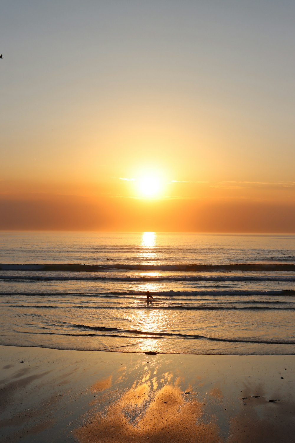 body of water during sunset