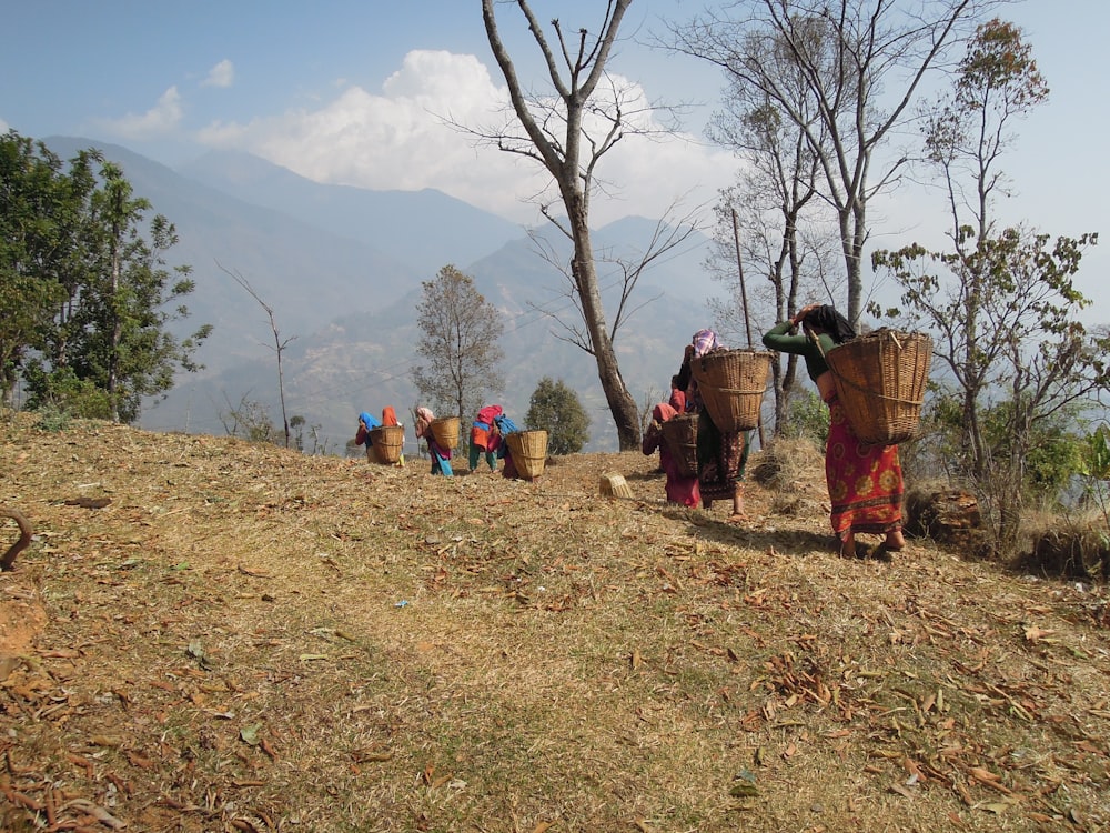 people standing on brown grass field near bare trees during daytime