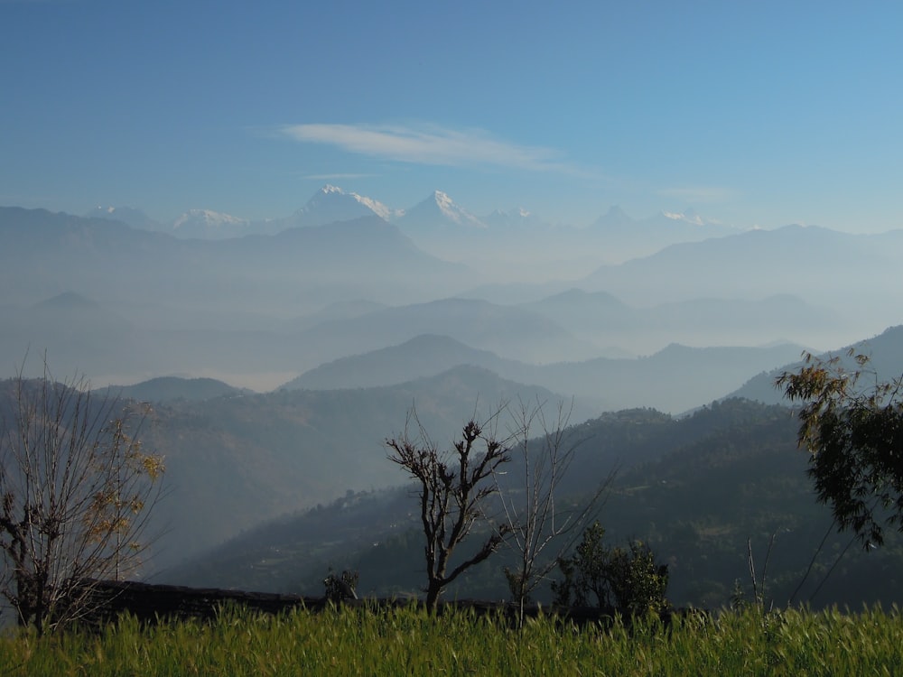 green grass field and mountains during daytime