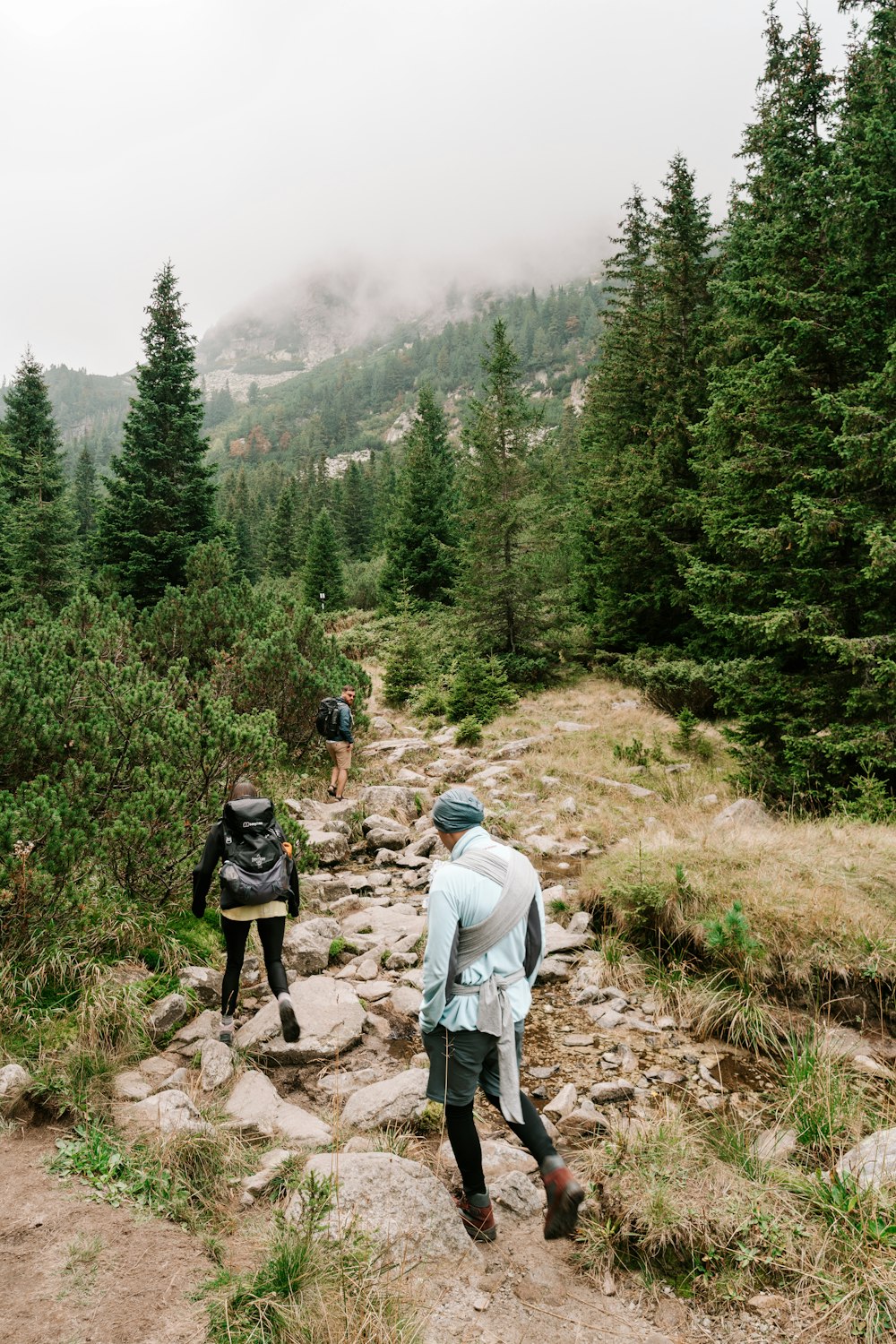 2 men hiking on mountain during daytime