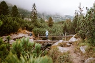 A solo hiker crossing a wooden bridge over a clear mountain stream surrounded by lush greenery.