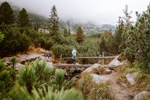 Hikers crossing a wooden bridge over a crystal-clear mountain stream surrounded by lush forest