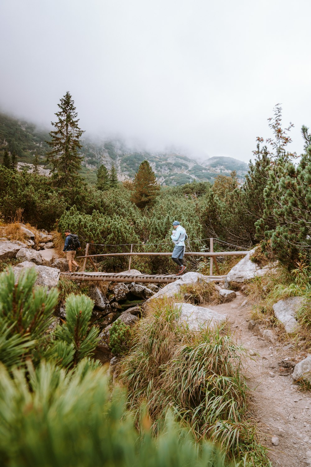 woman in white jacket standing on brown wooden bridge during daytime