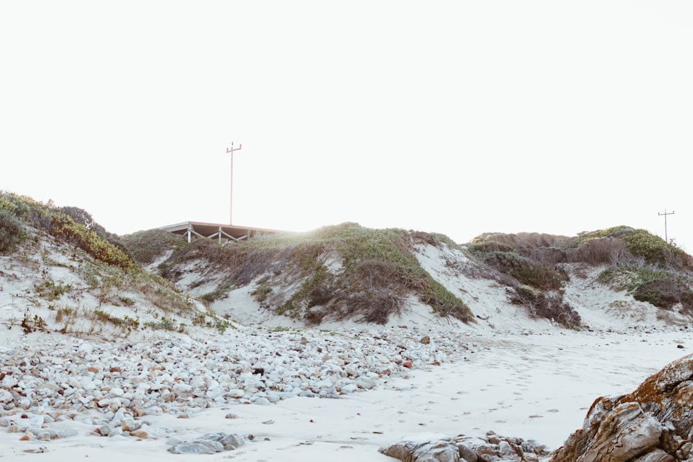 white and black rocky shore during daytime