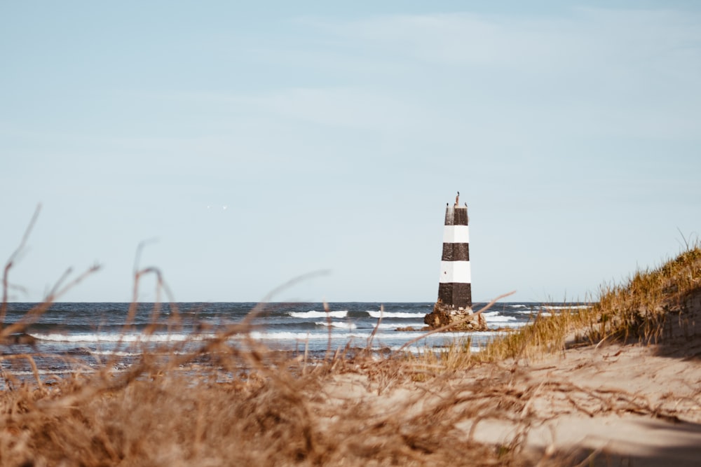 white and black lighthouse near body of water during daytime