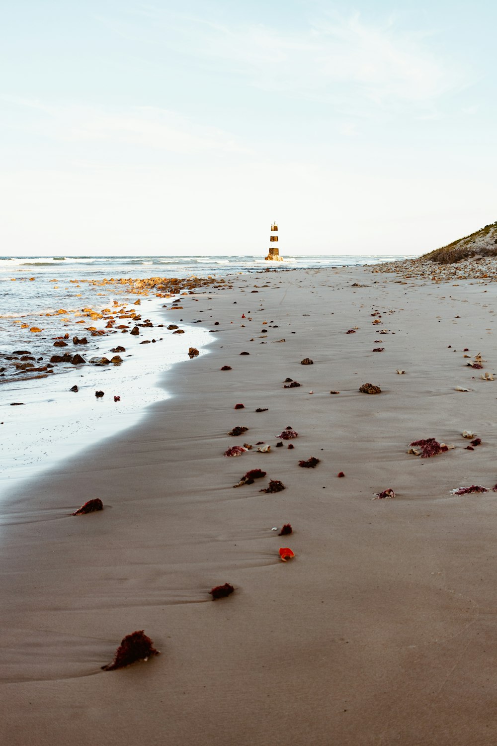 personnes sur la plage pendant la journée