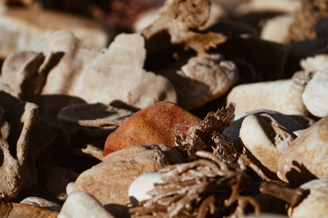 brown and white stone fragment