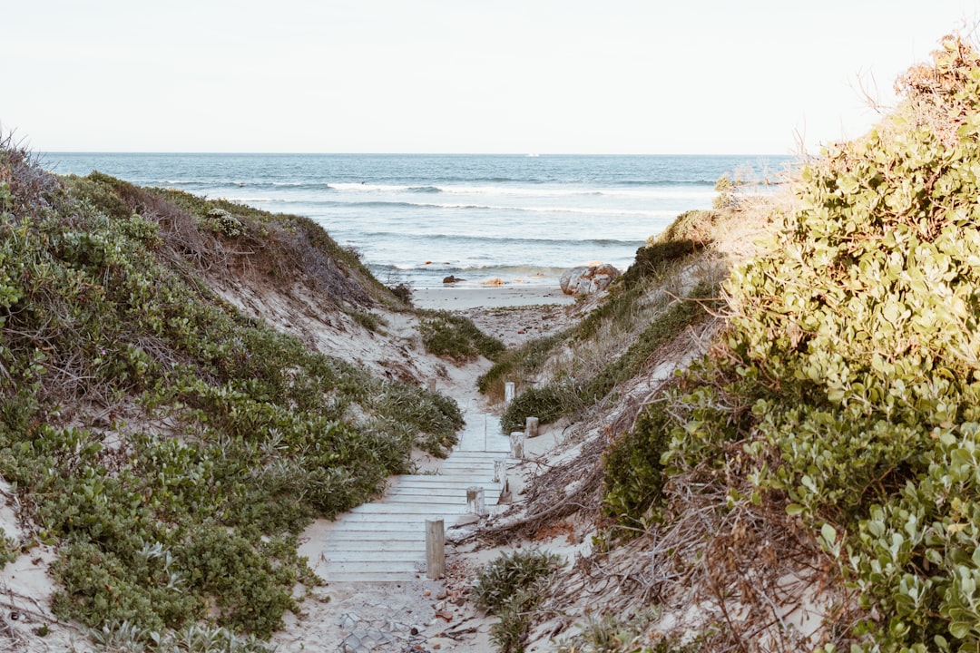 Nature reserve photo spot Cape Recife South Africa