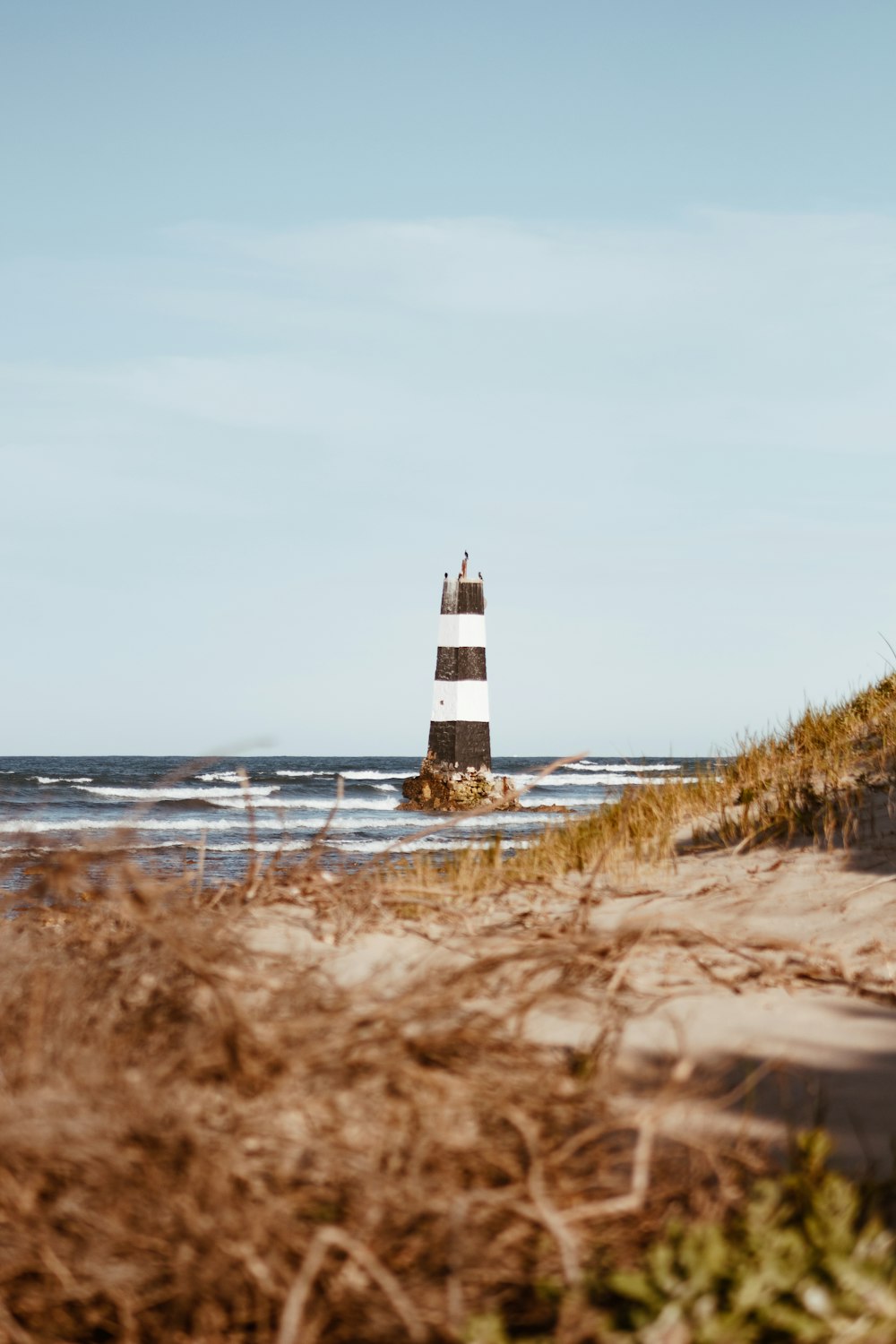 white and black lighthouse on brown grass field near body of water during daytime