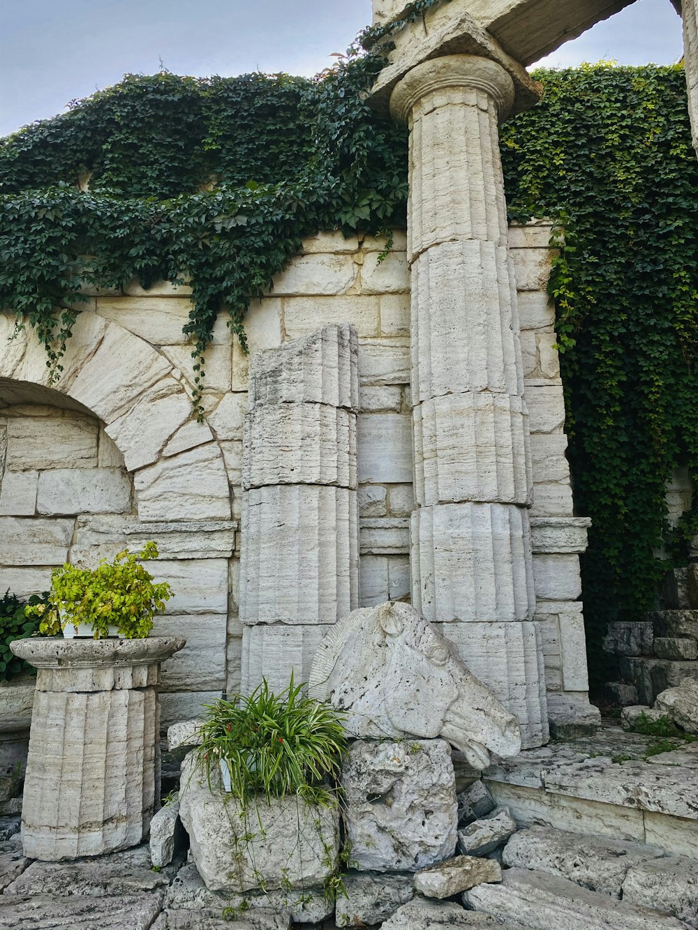 green trees beside gray concrete building