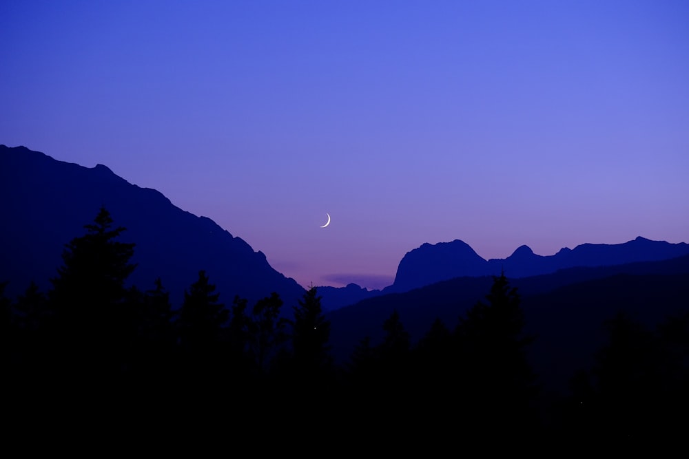 silhueta de árvores e montanhas durante a noite