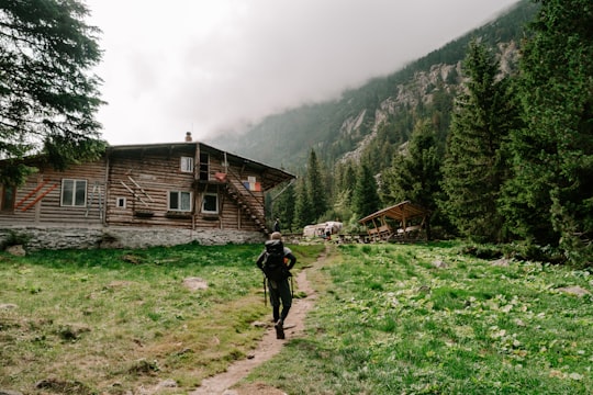 person in black jacket walking on green grass field near brown wooden house during daytime in Retezat Romania