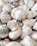 A collection of variously sized, spiraled seashells featuring a combination of earthy tones such as cream, beige, light brown, and hints of green and orange. The shells are tightly clustered together, showcasing their intricate patterns and natural textures.