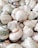 A collection of variously sized, spiraled seashells featuring a combination of earthy tones such as cream, beige, light brown, and hints of green and orange. The shells are tightly clustered together, showcasing their intricate patterns and natural textures.