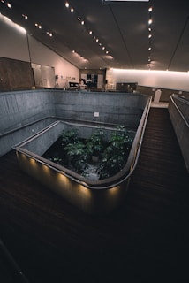 The image depicts an indoor space with modern architectural design. The area features concrete walls and a wooden floor, leading down to a recessed section containing several green plants. Overhead, numerous small spotlights illuminate the space. The upper section appears to contain a desk area with a person sitting at it, associated with some equipment and a display board.