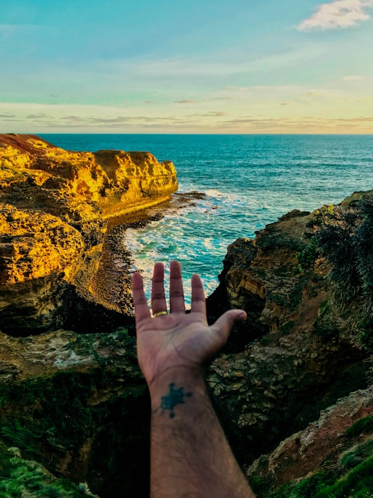 None in The Grotto, Victoria Australia