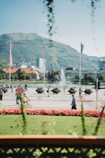 A scenic view of the municipality showcasing its parks and public spaces.