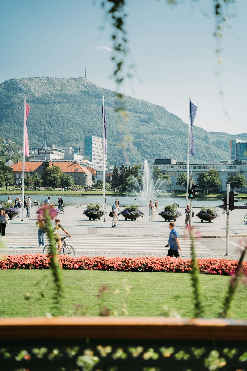 people sitting on green grass field near water fountain during daytime